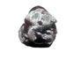 SD0.9 hat Spring 26